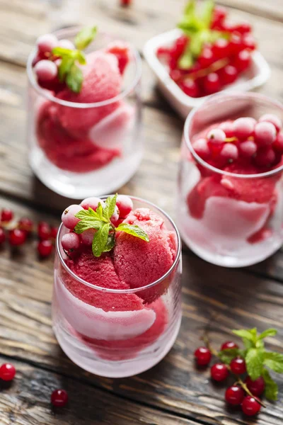 Frozen homade sorbet with red currant — Stock Photo, Image