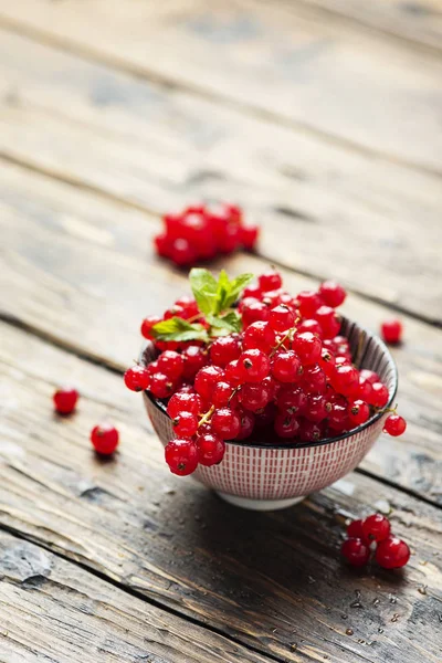 Ribes rosso fresco con menta — Foto Stock