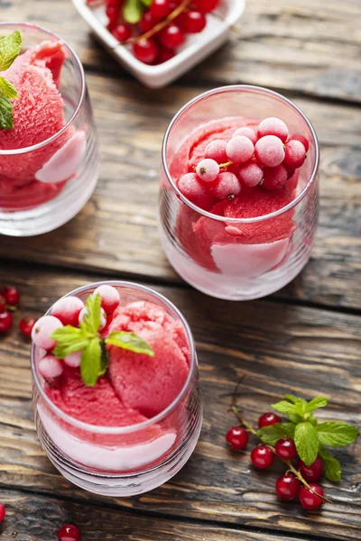 Frozen homade sorbet with red currant — Stock Photo, Image
