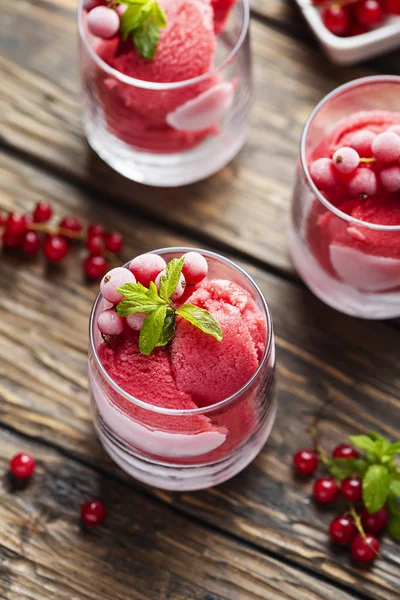 Gefrorenes hausgemachtes Sorbet mit roten Johannisbeeren — Stockfoto