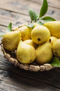 Taze tatlı yelow armut 