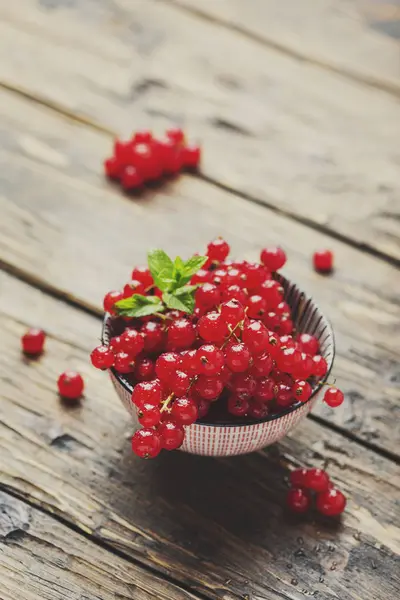 Ribes rosso fresco con menta — Foto Stock