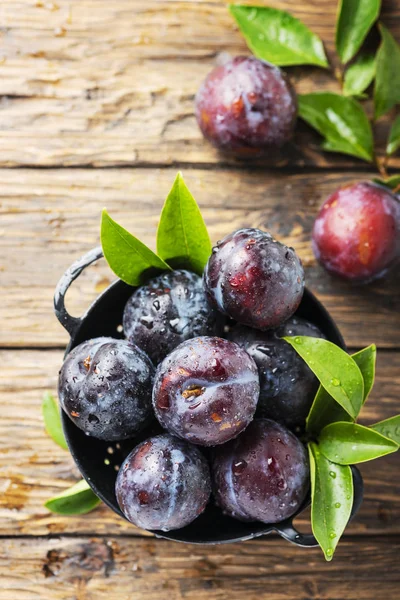 Sweet red plums — Stock Photo, Image