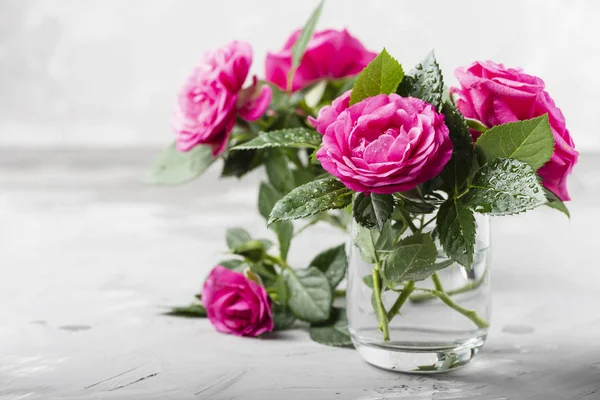 Increíbles rosas rosadas salvajes —  Fotos de Stock