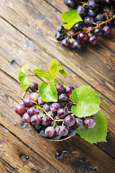 Red sweet grape — Stock Photo, Image
