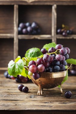 Kırmızı tatlı üzüm