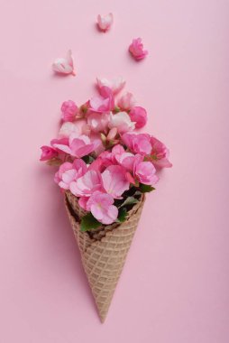 Yaz asgari konsepti. Pembe pastel arka planda pembe begonya çiçekli dondurma külahı. Düz yatıyordu. Kopya sürgülü üst görünüm. Yaratıcı yerleşim