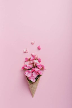 Yaz asgari konsepti. Pembe pastel arka planda pembe begonya çiçekli dondurma külahı. Düz yatıyordu. Kopya sürgülü üst görünüm. Yaratıcı yerleşim