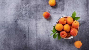 Siyah arka plandaki beyaz kasede taze kayısılar. Kopyalama alanı ve kaydırma biçimi olan en üstteki görüntü