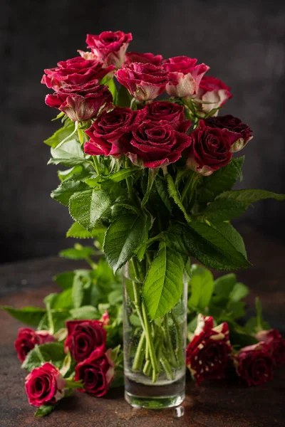 Rosas Silvestres Rojas Fondo Oscuro Imagen Enfoque Selectivo —  Fotos de Stock