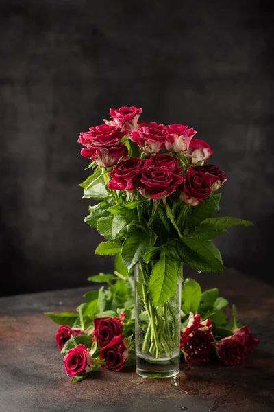 Rosas Silvestres Rojas Fondo Oscuro Imagen Enfoque Selectivo —  Fotos de Stock