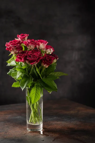 Rosas Silvestres Rojas Fondo Oscuro Imagen Enfoque Selectivo —  Fotos de Stock