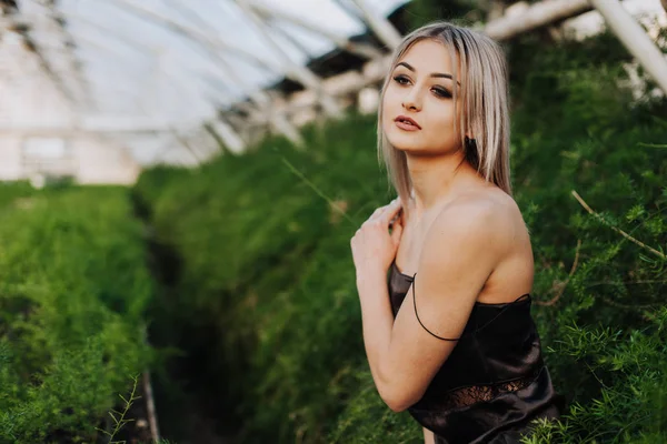 Genç ve şehvetli bir mankenin portresi seksi bir bluz ve yüksek bel kotuyla tropikal bahçede poz veriyor, tek bacağı taşın üzerinde duruyor ve dizlerinin üzerinde çapraz kollar oluşturuyor..