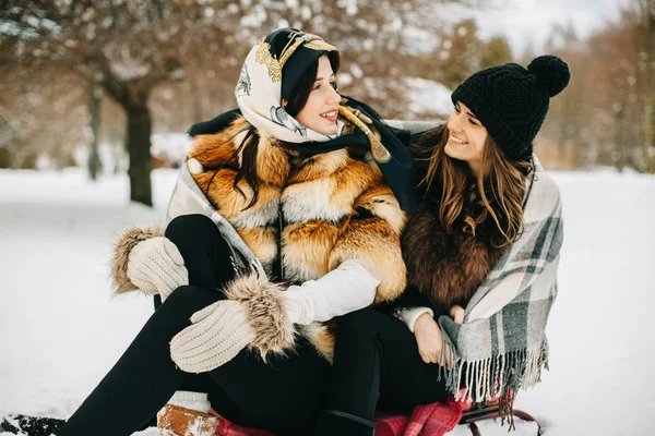 Две Элегантные Великолепные Девушки Стильных Шубах Гуляют Зимнему Парку — стоковое фото