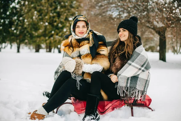 Dvě Elegantní Nádherné Dívky Stylových Kožešinových Kabátech Procházející Zimním Parku — Stock fotografie