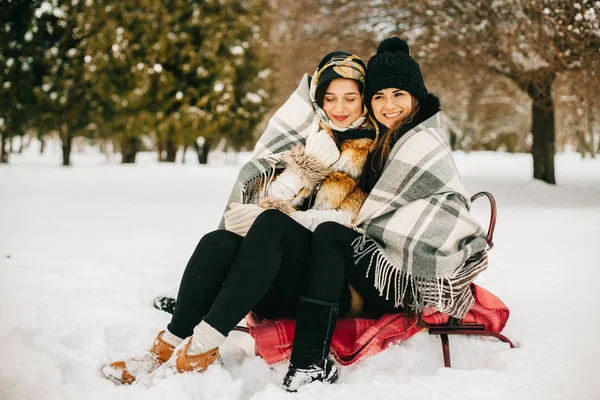 Due Ragazze Eleganti Magnifiche Eleganti Cappotti Pelliccia Che Camminano Nel — Foto Stock