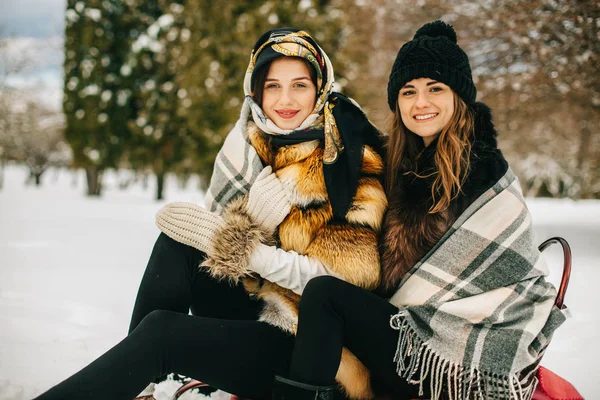 Dwie Eleganckie Wspaniałe Dziewczyny Stylowych Futrach Spacerujące Zimowym Parku — Zdjęcie stockowe