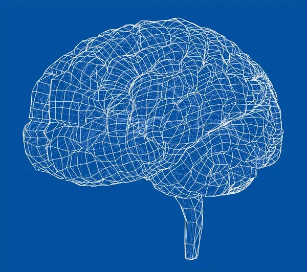 3D outline brain