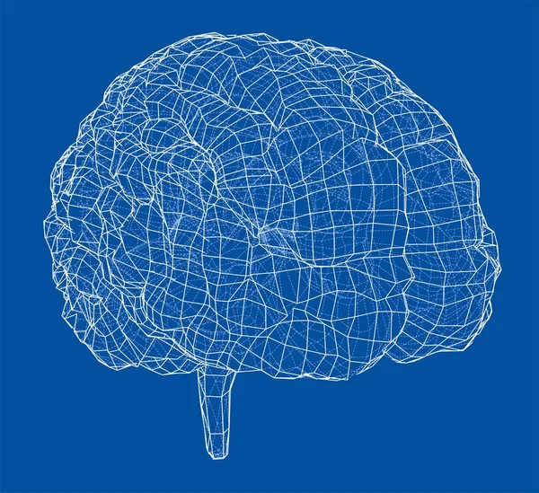 3D outline brain