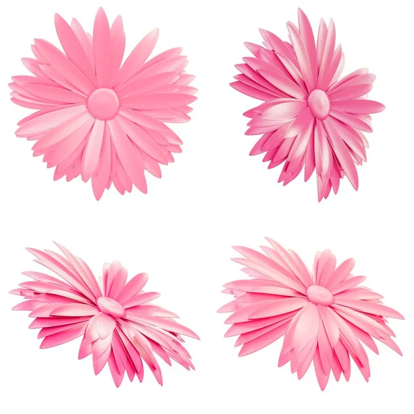 Set of Light Pink Flowers isolated on white background