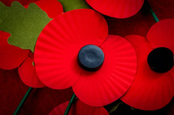Remembrance day in the UK and salute to veterans of the armed forces concept with a close up on a group of Remembrance poppies and one poppy in the center of the image