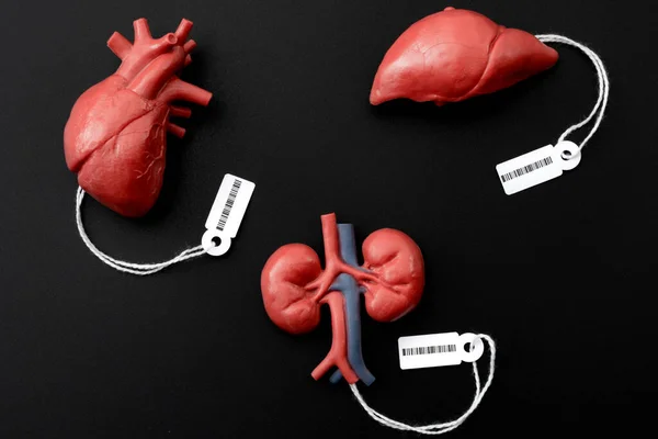 現代の奴隷制度 闇市場での人間の臓器の違法取引 死刑囚の臓器収穫は 腎臓をテーマにした概念で 値札とバーコードが付いています — ストック写真