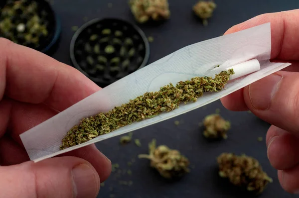Vorbereitung eines Konzepts für Joint und Drogen mit Menschenhänden aus nächster Nähe, die einen Joint mit Kräuterträger rollen, um im Hintergrund eine Cannabis-Knospe zu mahlen — Stockbild Vorbereitung Eines Konzepts Für Joint Und Drogen Mit Menschenhänden Aus — Stockfoto