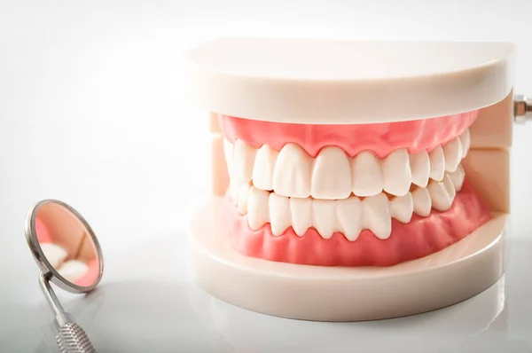 Zubařské Prohlídky Zubařské Nástroje Koncepce Kontroly Zubní Hygieny Modelem Zubů — Stock fotografie