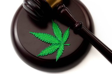 Yasal ot, suç olmaktan çıkarılmış esrar ya da uyuşturucu konsepti temalı beyaz arka planda izole edilmiş marihuana yaprağı ve ahşap tokmak bulundurmaktan hüküm.