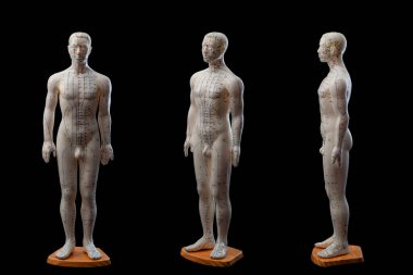 Alternatif tıp ve doğu Asya şifa yöntemleri kavramı. Tam boyutlu akupunktur mankeni modelinin geniş açılı görüntüsü. Siyah arka planda izole edilmiş ve klipsli yol kesilmiş.