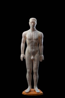 Alternatif tıp ve doğu Asya iyileştirme yöntemleri konsepti tam boyutlu akupunktur manken modelinin ön görüntüsü siyah arka planda izole edilmiş ve klipsli yol kesilmiş.