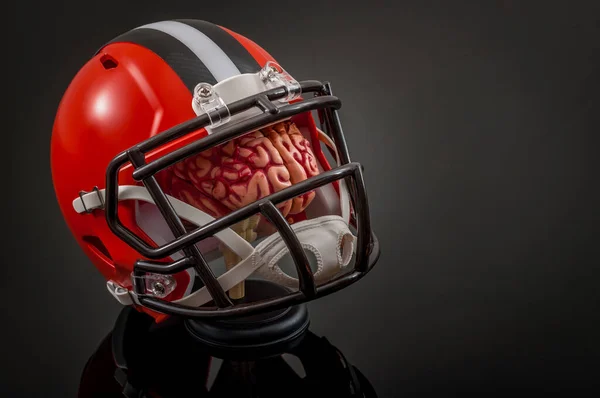 American football concussion protocol concept with a brain wearing a football helmet for protection with copy space