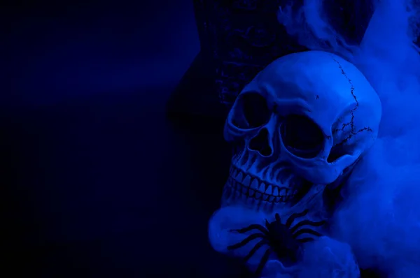 Halloween Memento Mori Dood Concept Met Een Schedel Een Begraafplaats — Stockfoto