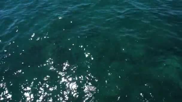 Água do mar limpa — Vídeo de Stock