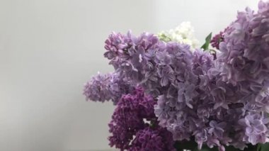 Taze leylak çiçekleri