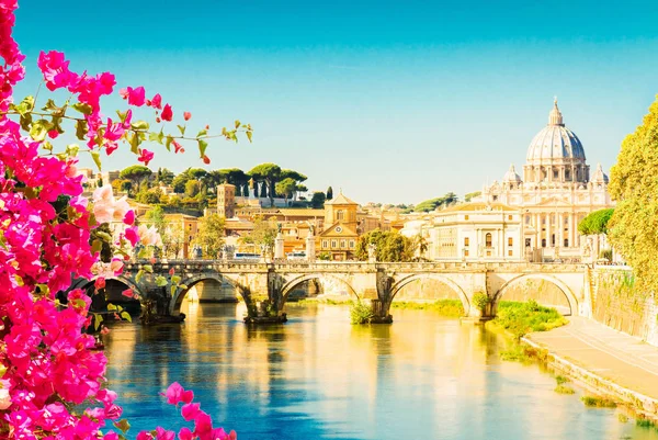 St. Peters Katedrali köprünün üzerinde. — Stok fotoğraf