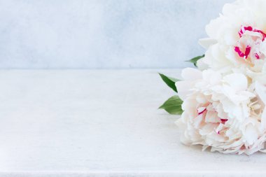 Taze şakayık çiçekleri