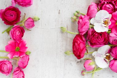 Çiçeklerin düz konumu