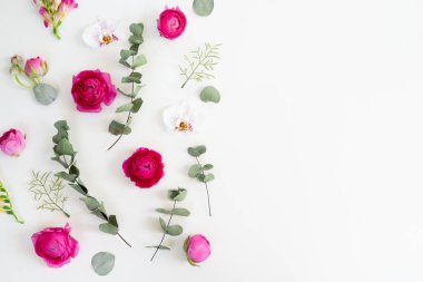 Çiçeklerin düz konumu