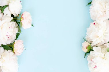 Taze şakayık çiçekleri