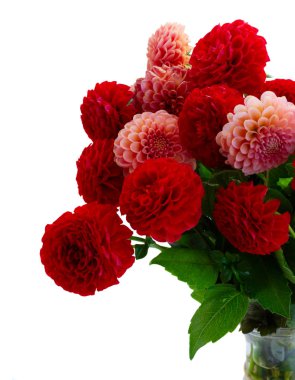 Yıldız Çiçeği çiçek buketi