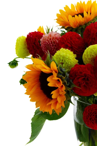 Dahlia and sunflowers — Stock Photo, Image