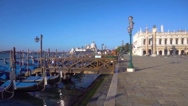 Basílica de Santa Maria della Salute, Veneza, Itália — Vídeo de Stock