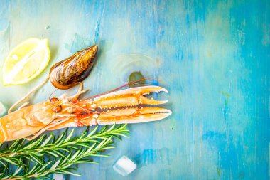 Mavi arka planda taze deniz ürünleri