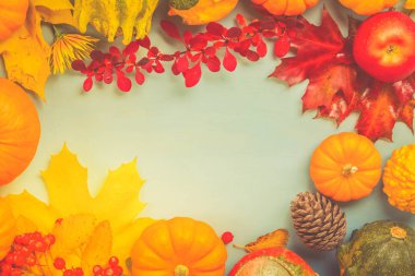 kabaklar mavi masada