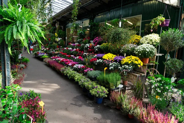 Paris çiçek pazarı — Stok fotoğraf