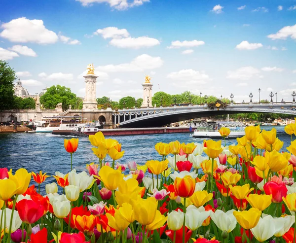 Köprü alexandre III de paris, Fransa — Stok fotoğraf