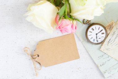 Pembe ve beyaz çiçek açan güller