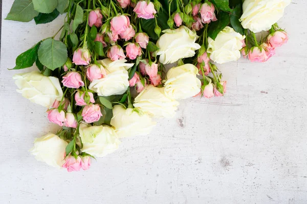 Roses roses et blanches en fleurs — Photo