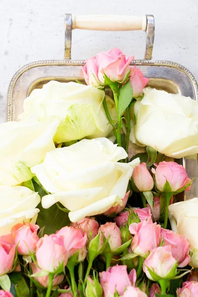 Pink and white blooming roses — Stock Photo, Image